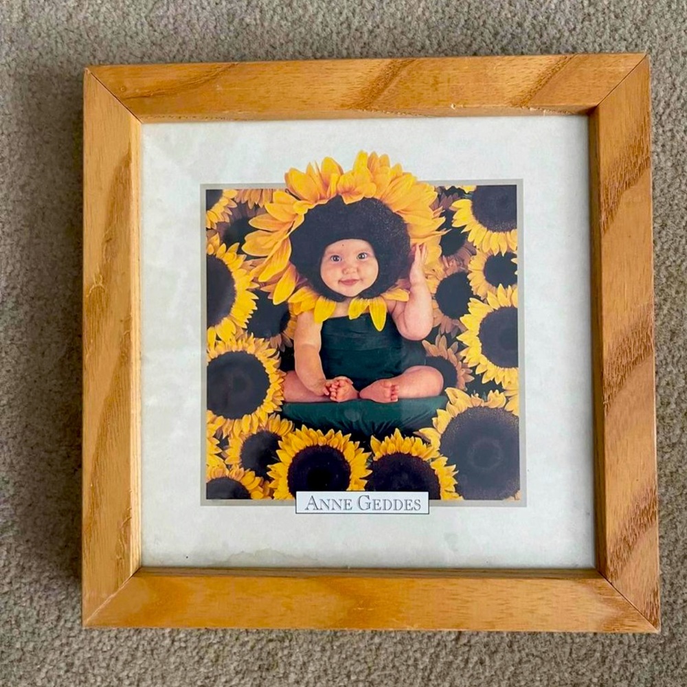 Anne Geddes “Sunflower Wall” Framed Baby Picture